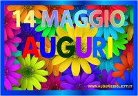 maggio/14/14_maggio_margherite.jpg