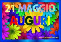 maggio/21/21_maggio_margherite.jpg