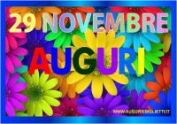 novembre/29/29_novembre_margherite.jpg