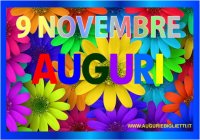 novembre/9/09_novembre_margherite.jpg