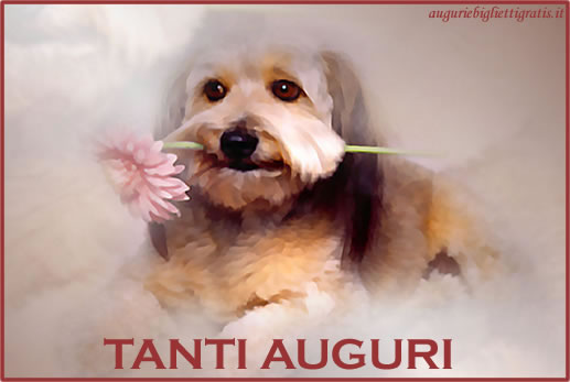 Biglietti Di Compleanno E Auguri Di Compleanno Con Gli Animali Frasi Per Compleanno