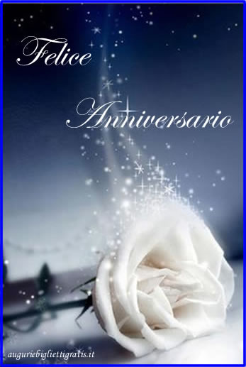 auguri per anniversario con rosa bianca