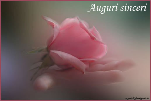 Auguri Di Buon Compleanno Rosa Buono Compelanno Collection Immagini