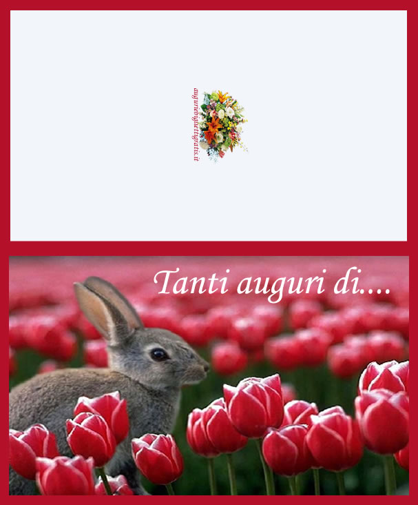 biglietti auguri pronta guarigione con coniglietto e tulipani rossi