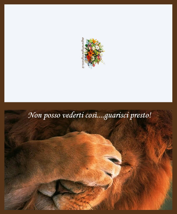 biglietti di auguri per chi è malato con leone