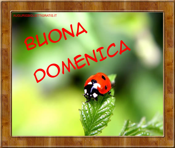 Buona Domenica Auguri Di Buona Domenica