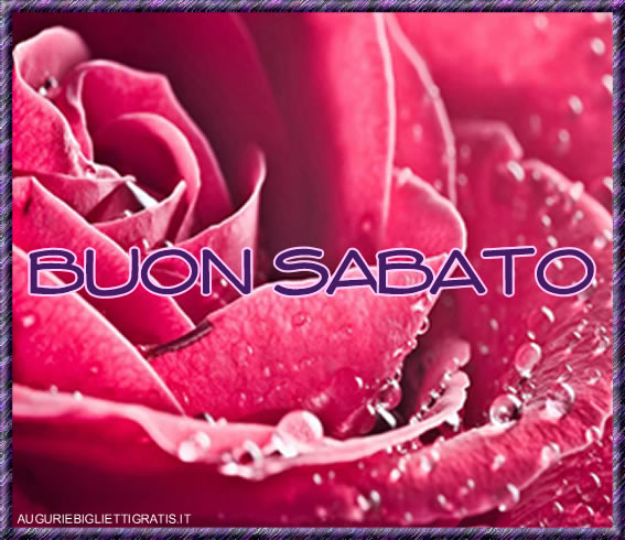 sabato_rosa