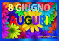 giugno/8/08_giugno_margherite.jpg