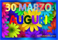 marzo/30/30_marzo_margherite.jpg