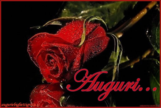 biglietti auguri con rosa rossa