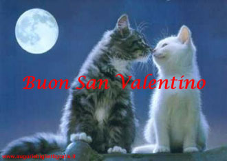 biglietti di auguri san valentino