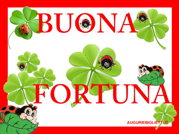 biglietto di auguri i buona fortuna con coccinelle e quadrifogli