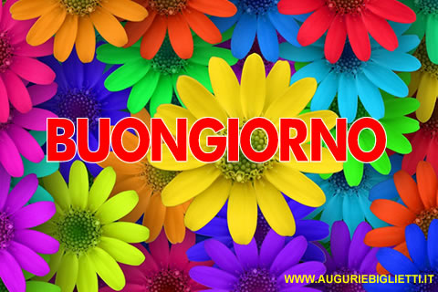 biglietto con dire buongiorno con margherite colorate
