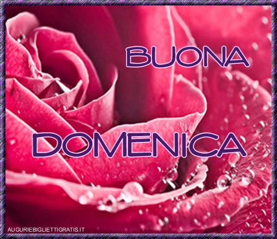 auguri di buona domenica