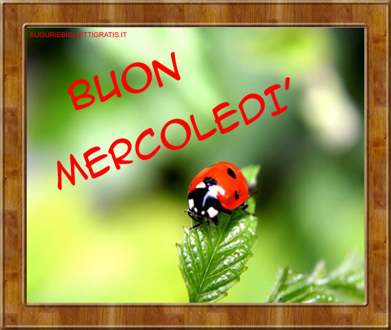 biglietto di augurio per un sereno mercoledi con coccinella e scritta rossa