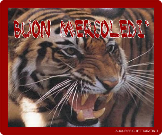 biglietto con tigre per dire buon mercoledi