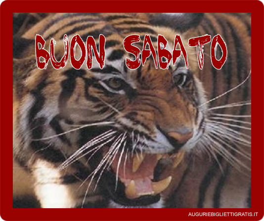 biglietto buon sabato