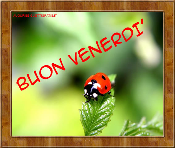 cartolina per dire buon venerdi