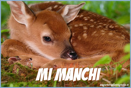 biglietto mi manchi