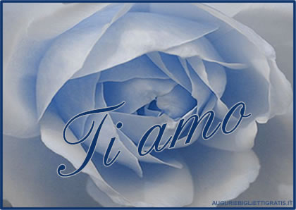 biglietto con scritto ti amo su rosa blu