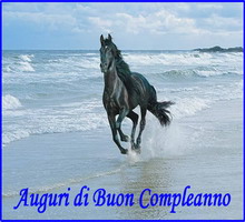biglietto di compleanno con cavallo sulla spiaggia