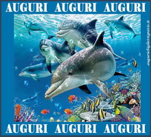 biglietti auguri con delfini