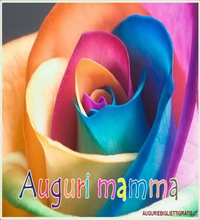 biglietto auguri per la festa della mamma con rosa colorata