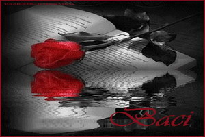 baci rosa rossa