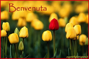 biglietto con tulipano rosso in mezzo a tulipani gialli