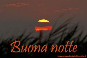 buonanotte amore