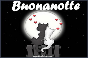 biglietto di auguri per la buonanotte con gatti e luna piena