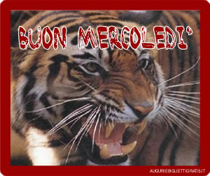 auguri di sereno mercoledi