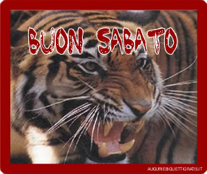 tigre con scritto buon sabato