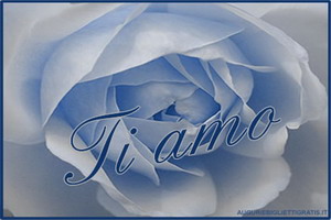 biglietto con rosa e la scritta ti amo