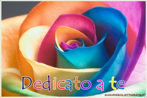 biglietto colorato con rosa e dedica